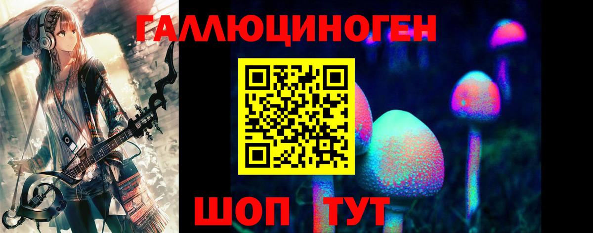 Галлюциногенные грибы GOLDEN TEACHER  Вход с VPN  Галлюциногенные грибы мицелий  Знаменск 